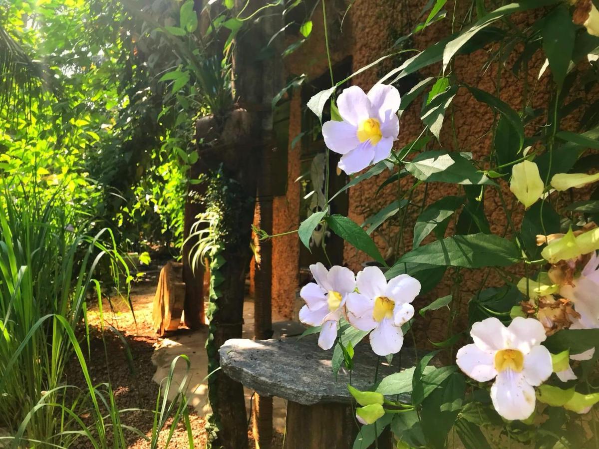 فيلا Earth House Sri Lanka Neboda المظهر الخارجي الصورة
