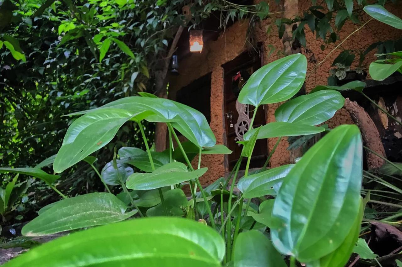 فيلا Earth House Sri Lanka Neboda المظهر الخارجي الصورة