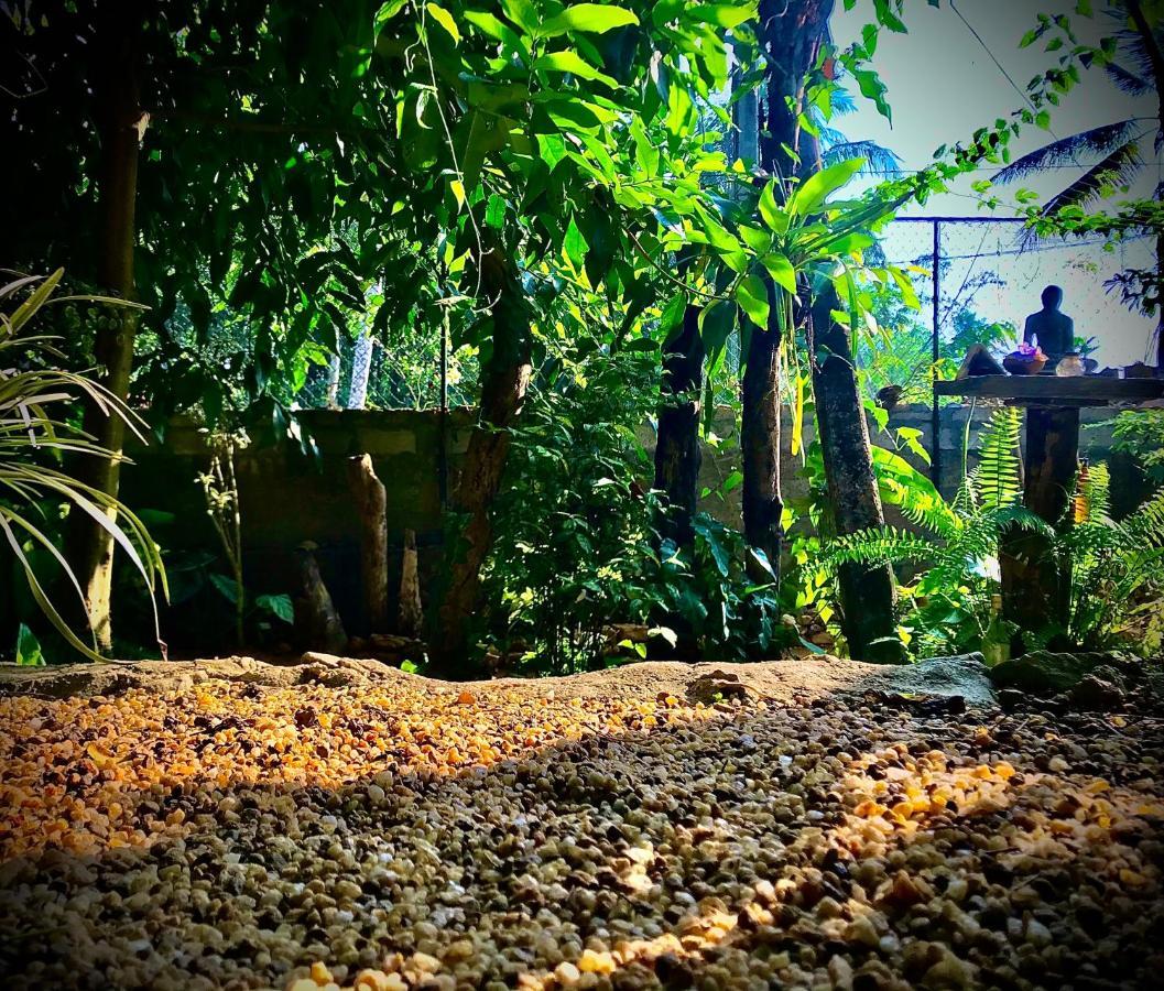 فيلا Earth House Sri Lanka Neboda المظهر الخارجي الصورة