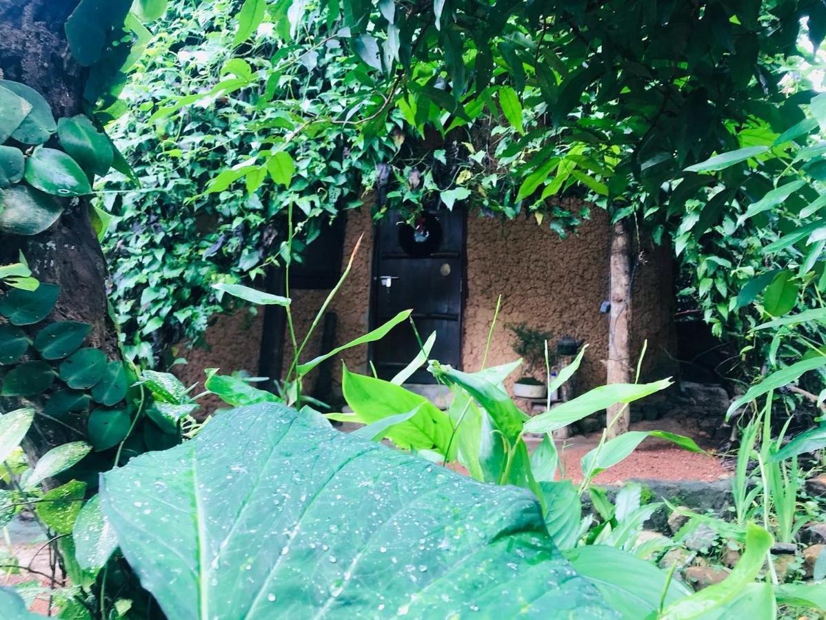 فيلا Earth House Sri Lanka Neboda المظهر الخارجي الصورة