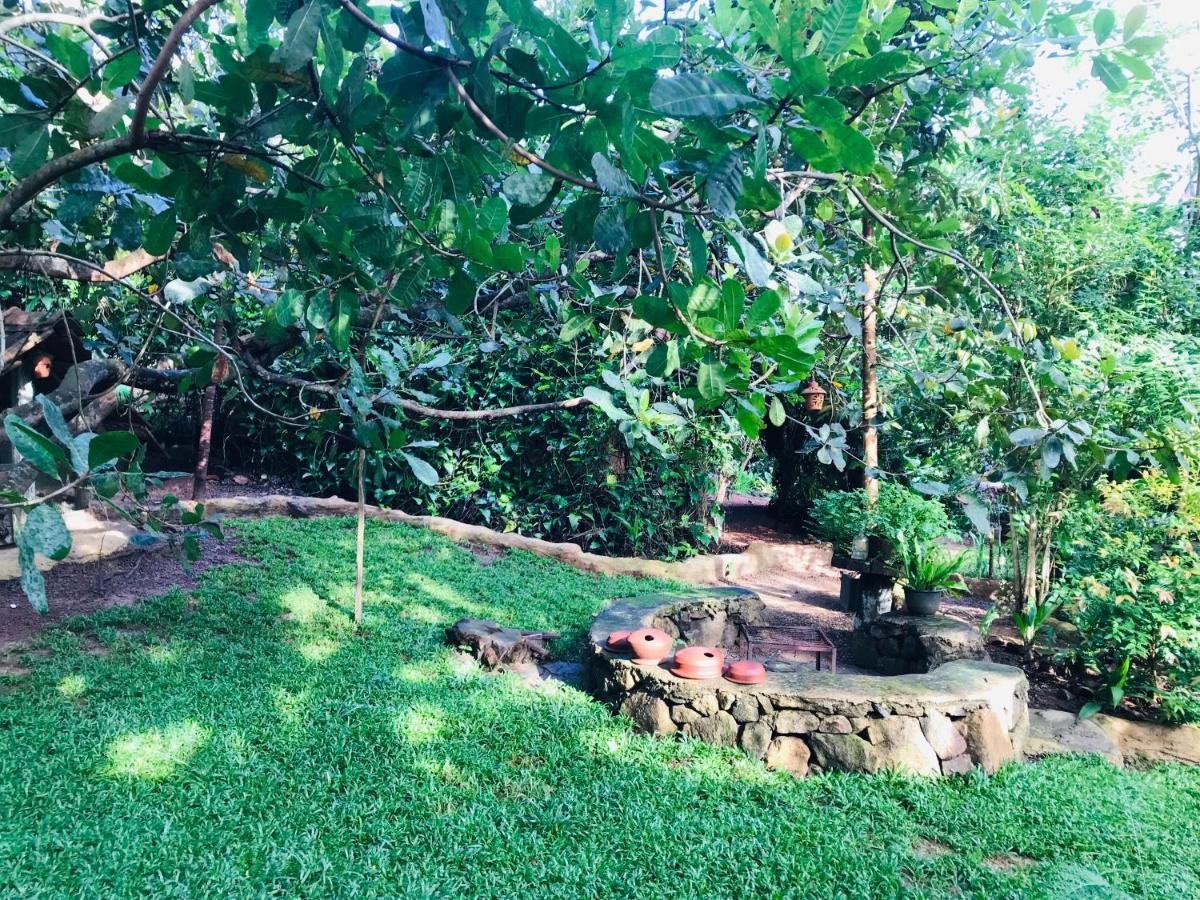 فيلا Earth House Sri Lanka Neboda المظهر الخارجي الصورة