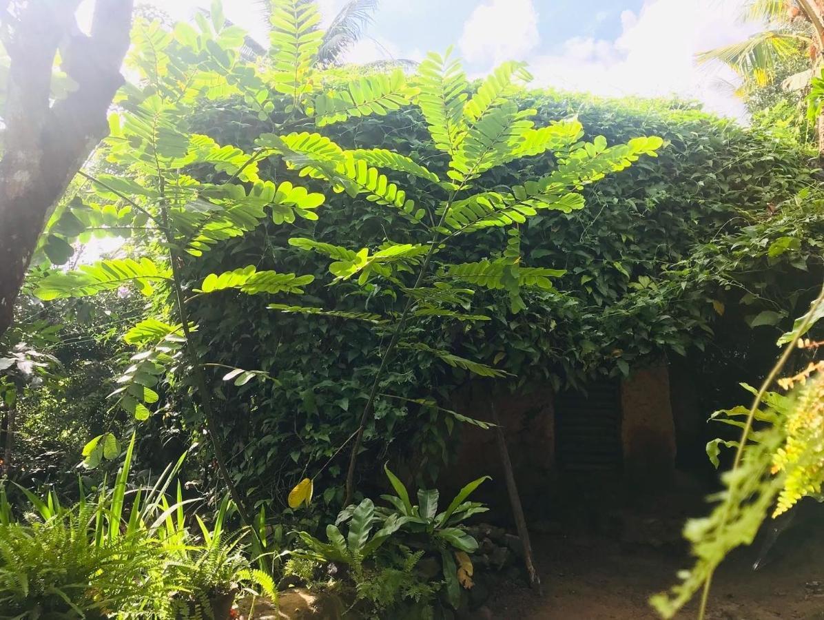 فيلا Earth House Sri Lanka Neboda المظهر الخارجي الصورة