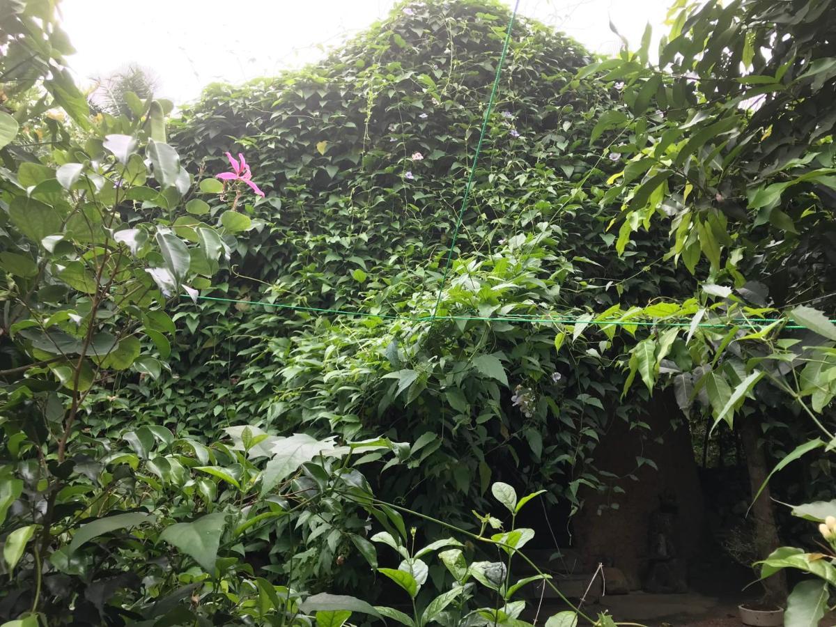 فيلا Earth House Sri Lanka Neboda المظهر الخارجي الصورة